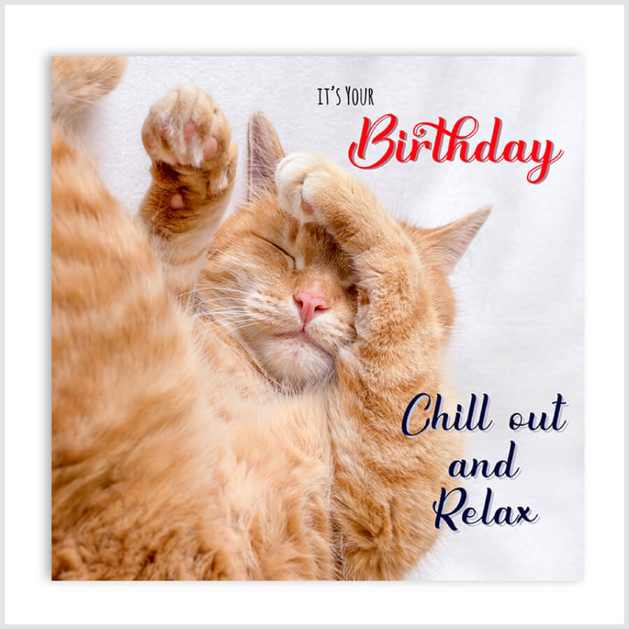 Cat Birthday Chill Out Card