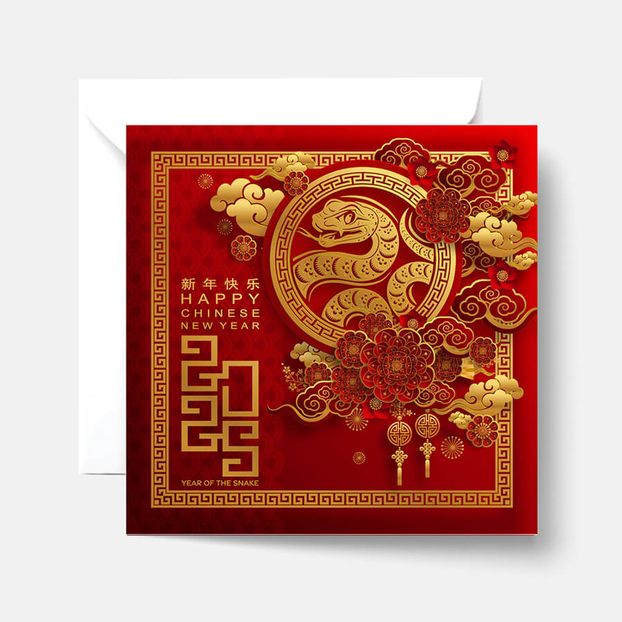 2025 chinese new year