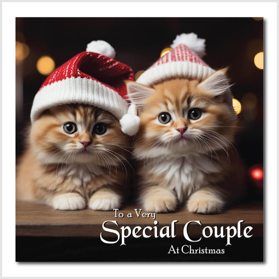 Cat couple Christmas card