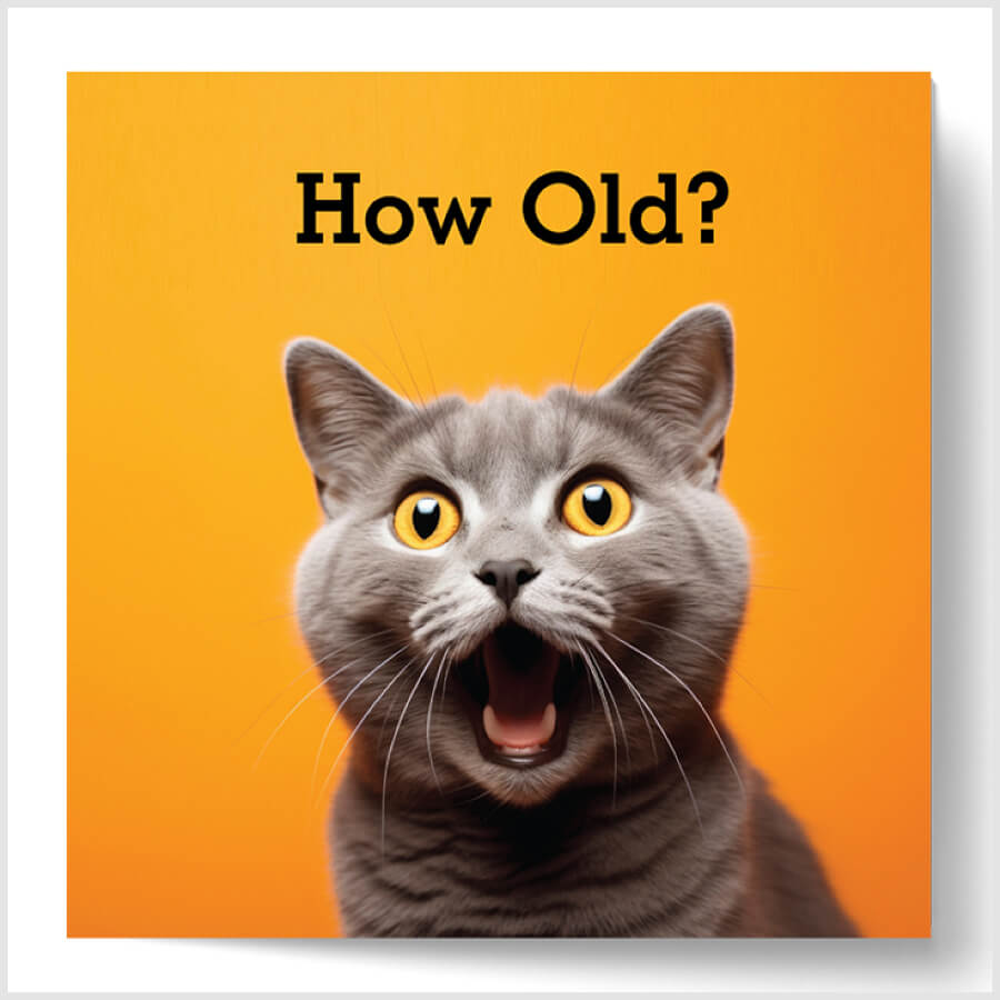 How Old? Funny Cat Birthday Card