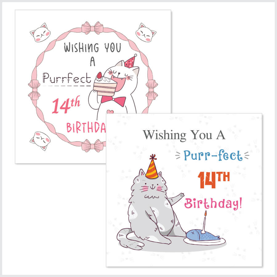 Personalised Cat Birthday Greeting Card With Age