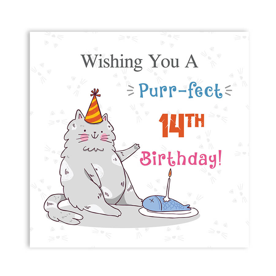 Personalised Cat Birthday Greeting Card With Age