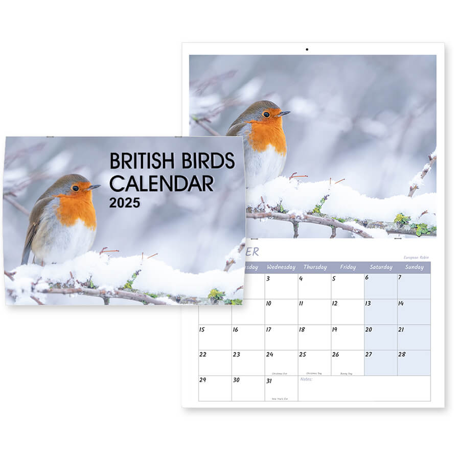 Bird calendar 2025