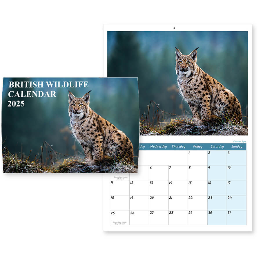 2025 British Wildlife Calendar - 12 Months - A3