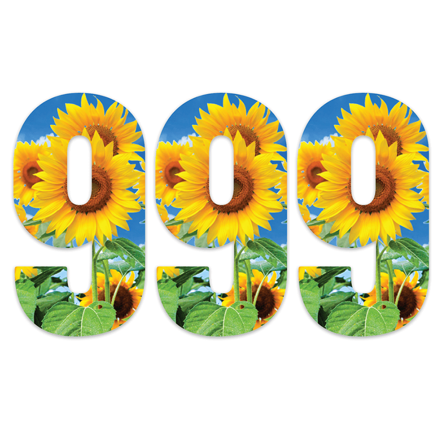 Sunflower Bin Number Stickers